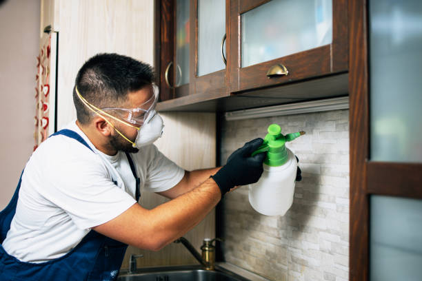 Best Best Pest Control Companies  in Cumming, GA
